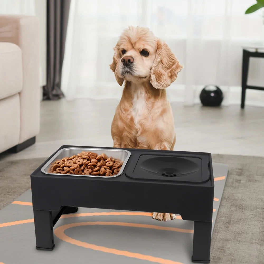 Elevated Dog Bowls with Stainless Bowl, Adjust 4 Heights for Small Medium Large Dogs, Black